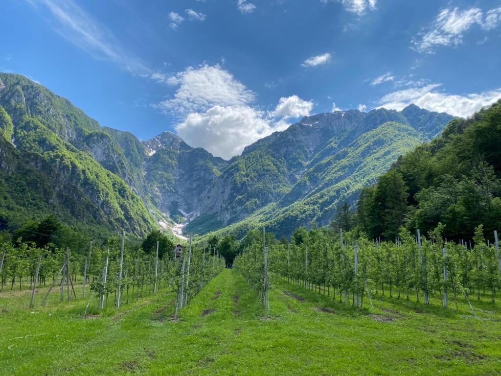 Agriturismo Pian Dei Tass Barcis Eksteriør billede
