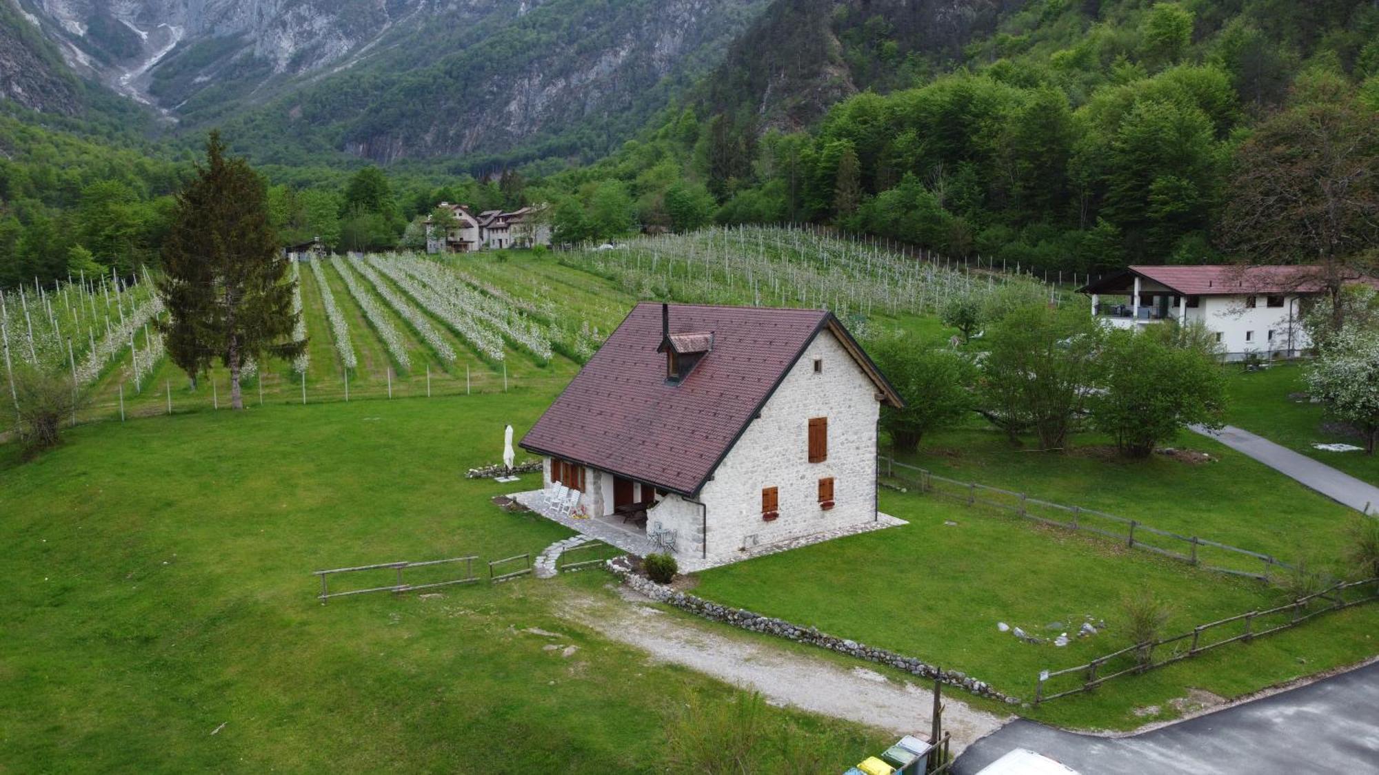 Agriturismo Pian Dei Tass Barcis Eksteriør billede