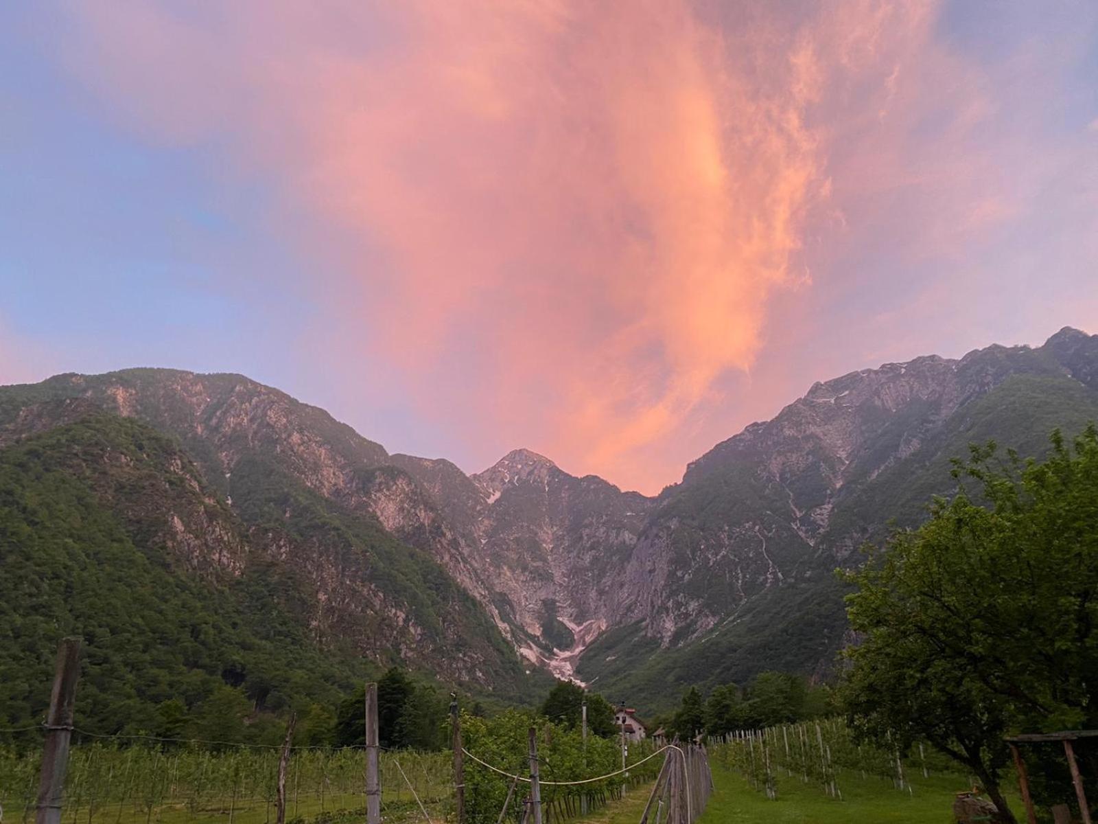 Agriturismo Pian Dei Tass Barcis Eksteriør billede