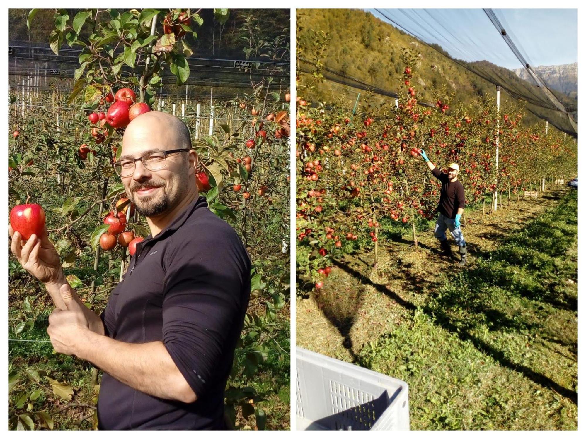 Agriturismo Pian Dei Tass Barcis Eksteriør billede