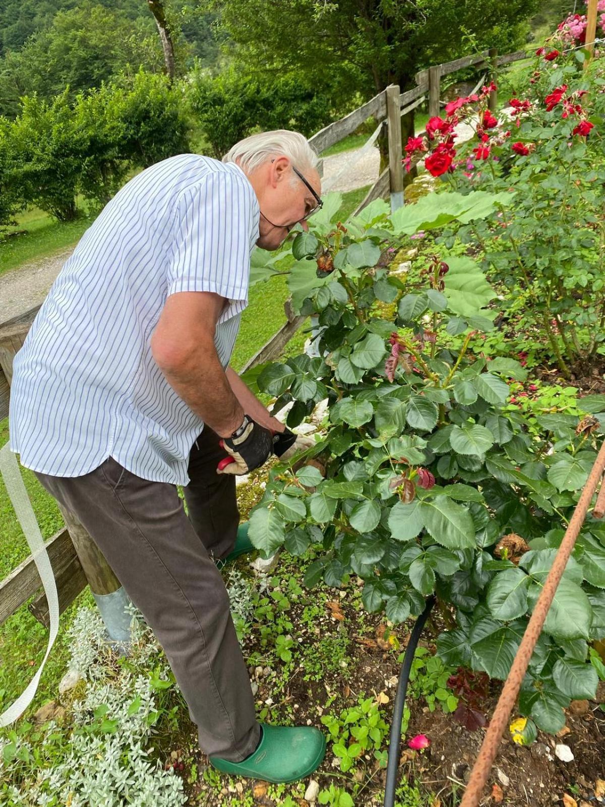 Agriturismo Pian Dei Tass Barcis Eksteriør billede