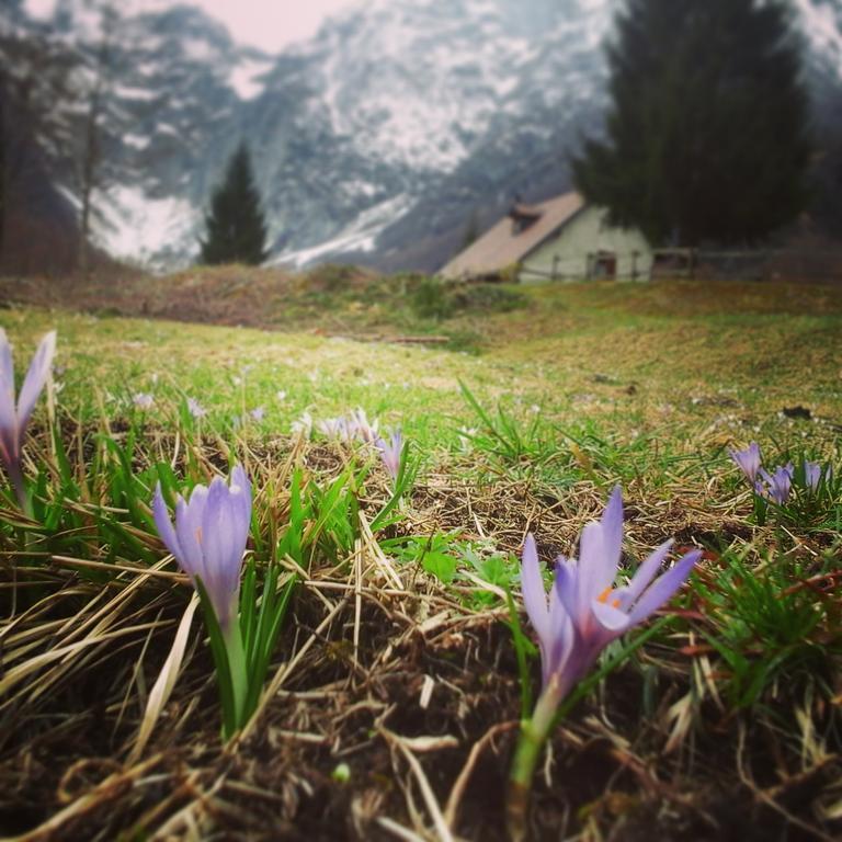 Agriturismo Pian Dei Tass Barcis Eksteriør billede